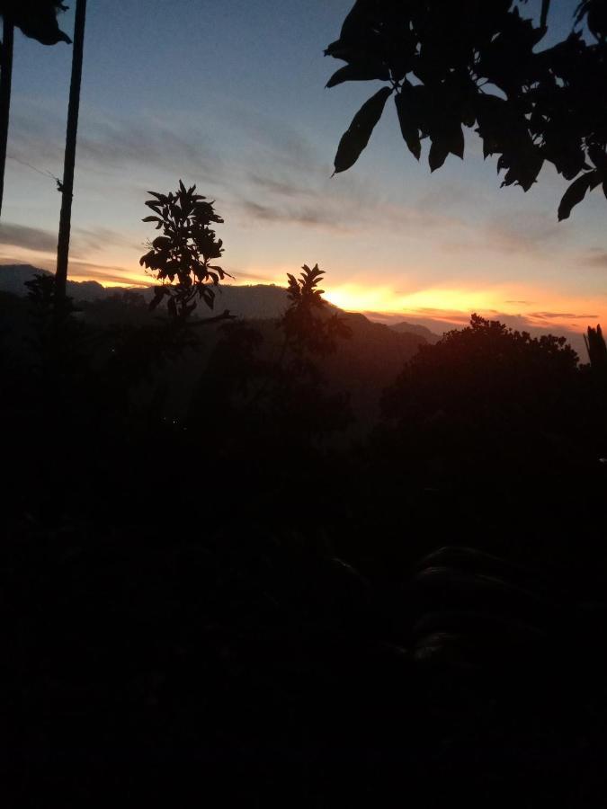 Charming View Homestay Ella Luaran gambar