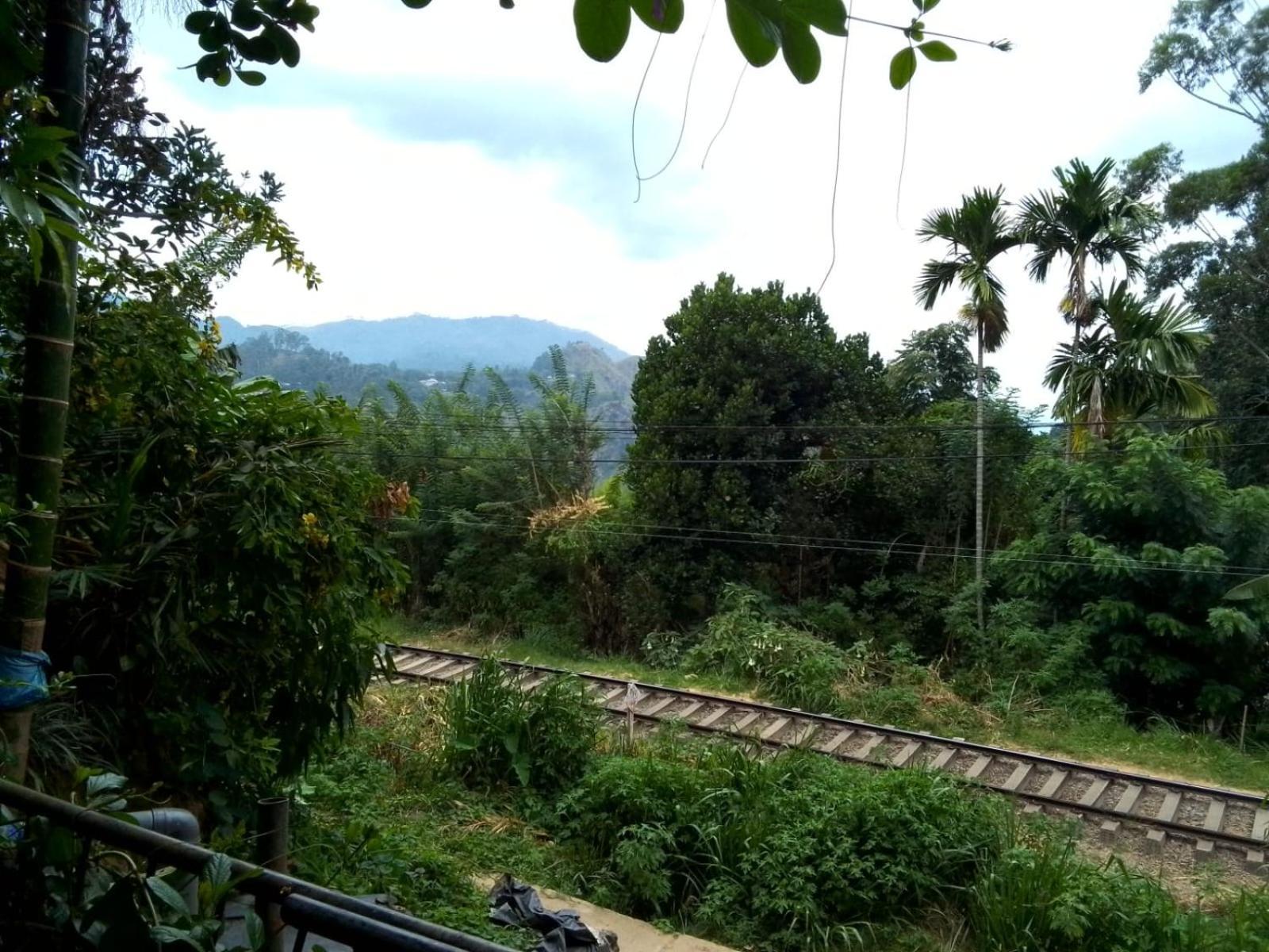 Charming View Homestay Ella Luaran gambar