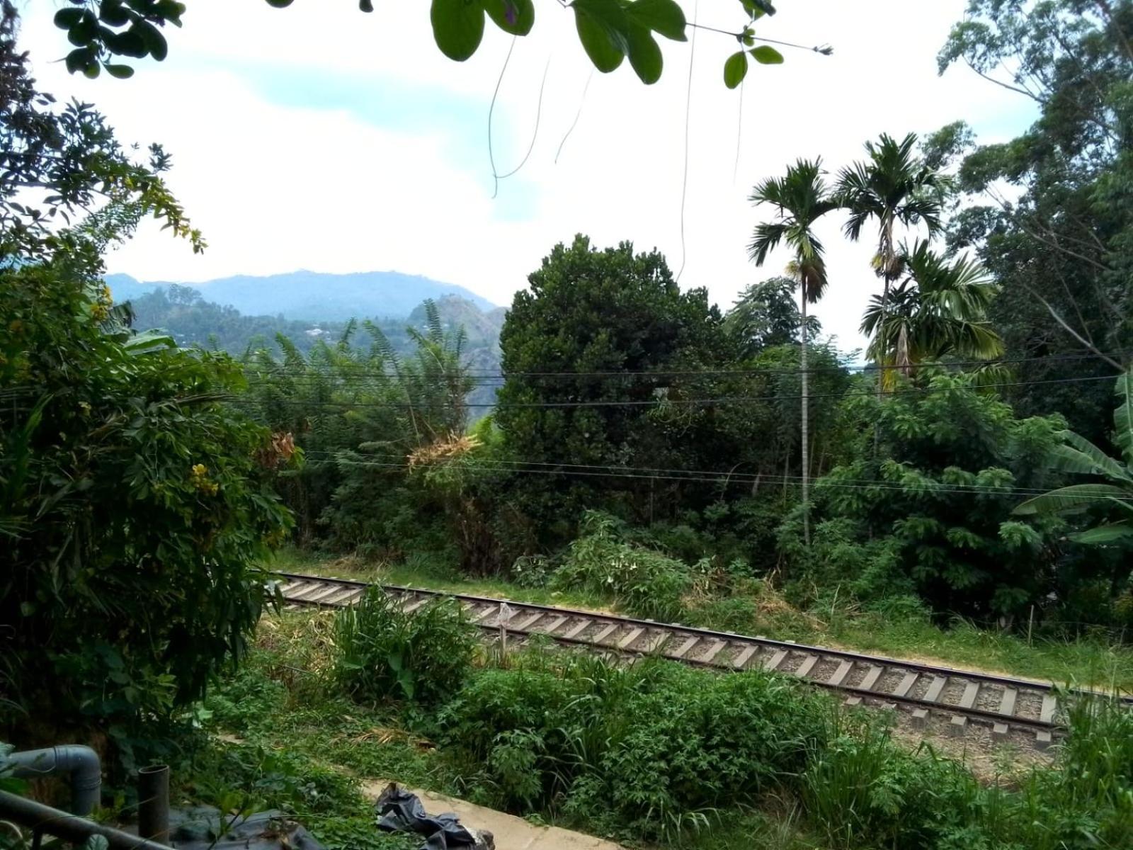 Charming View Homestay Ella Luaran gambar