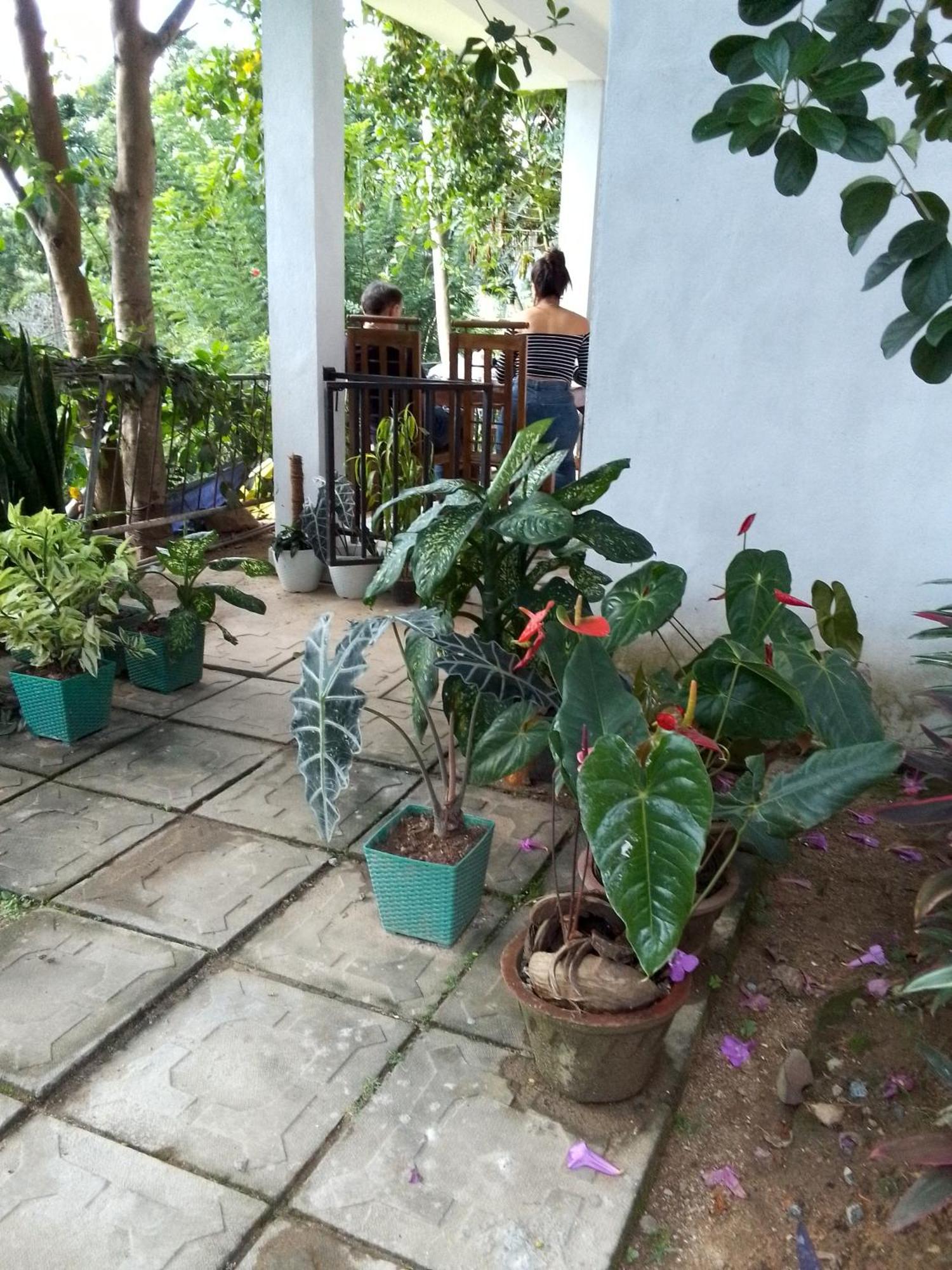 Charming View Homestay Ella Bilik gambar