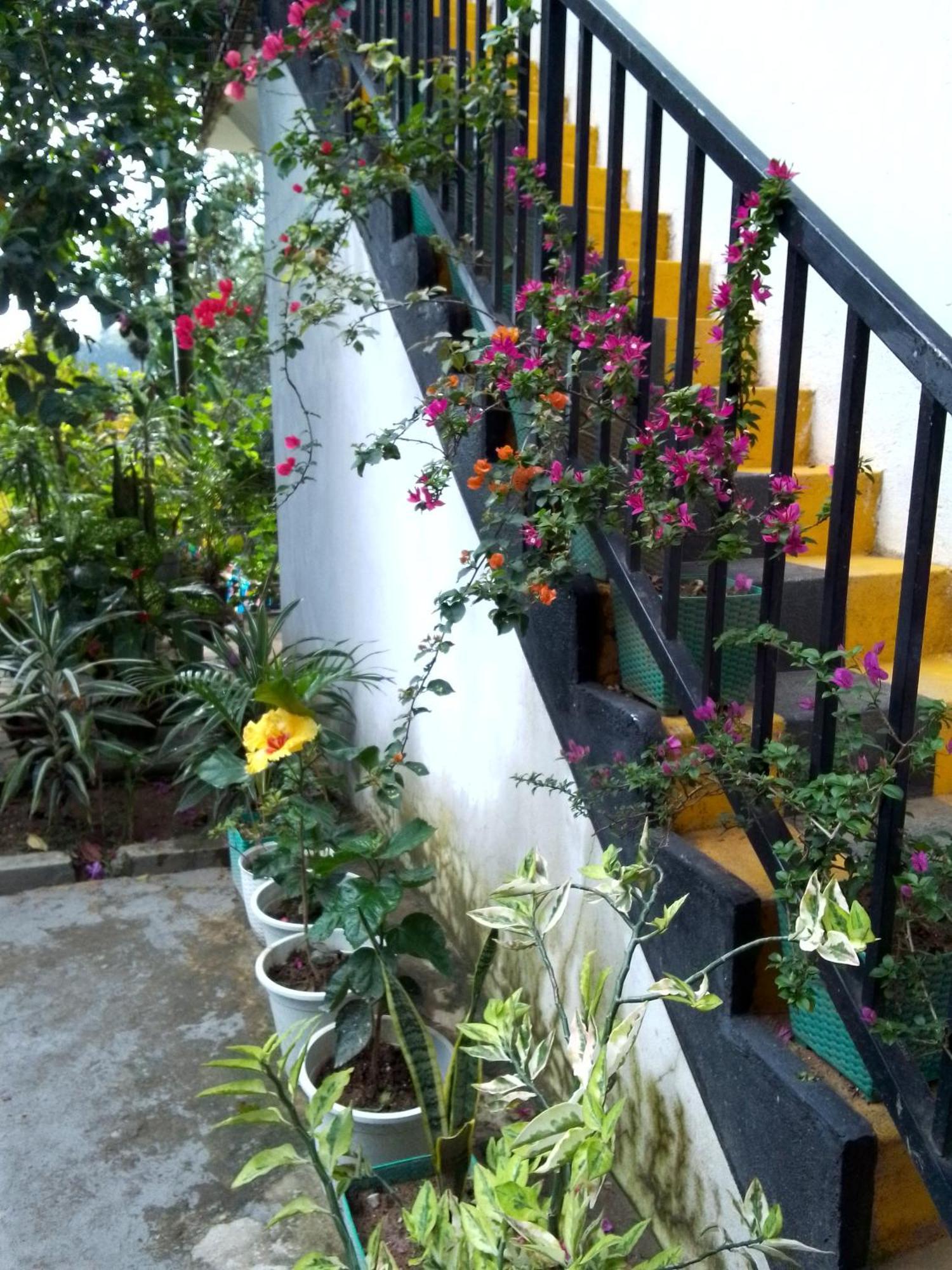 Charming View Homestay Ella Luaran gambar
